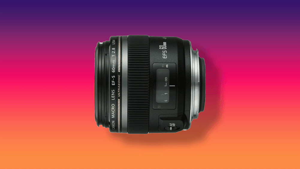 Canon EF-S 60mm f 2.8 Macro Lens