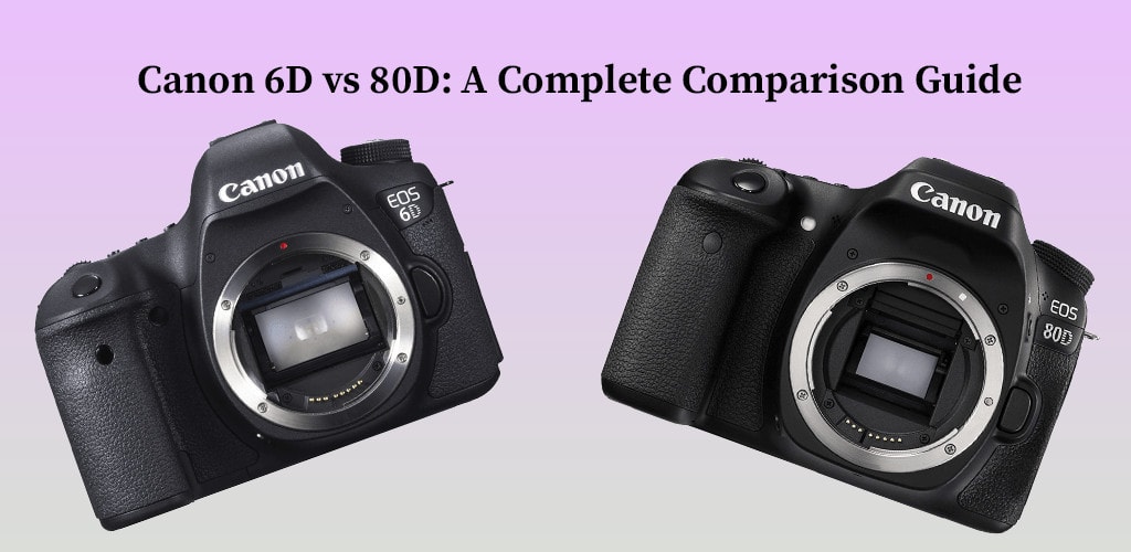 Canon 6D vs 80D