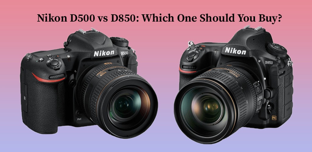 Nikon D500 vs D850