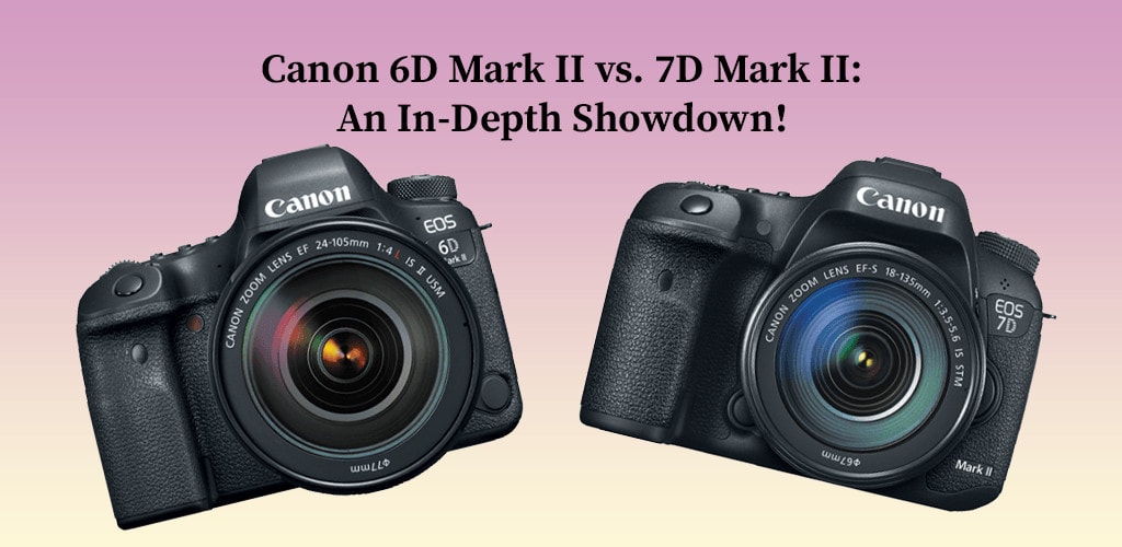 Canon 6D Mark II vs. 7D Mark II