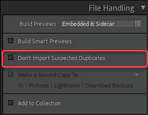 File Handling - Do not Import Suspected Duplicates