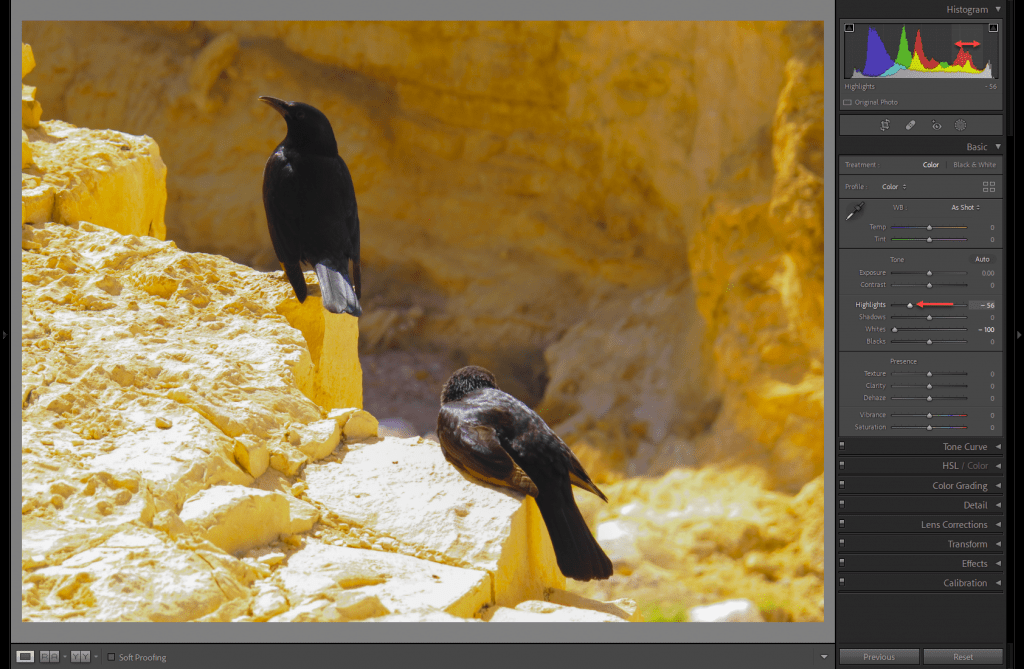 Adjusting the Tone Sliders to correct overexposure - Highlights