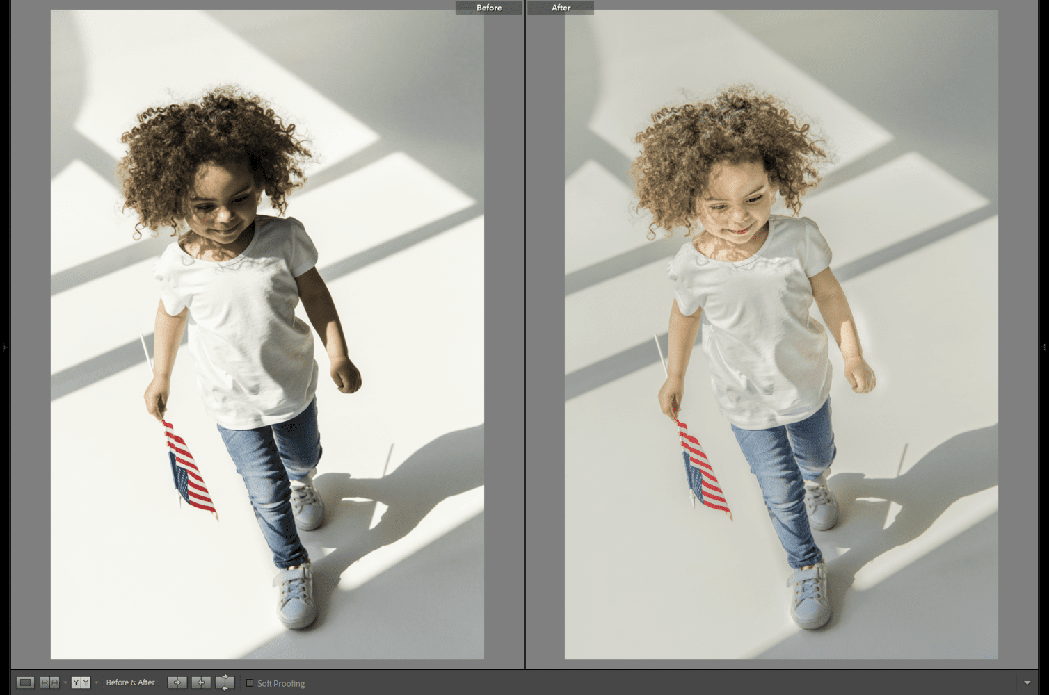 How To Remove Shadows in Lightroom - Before and After