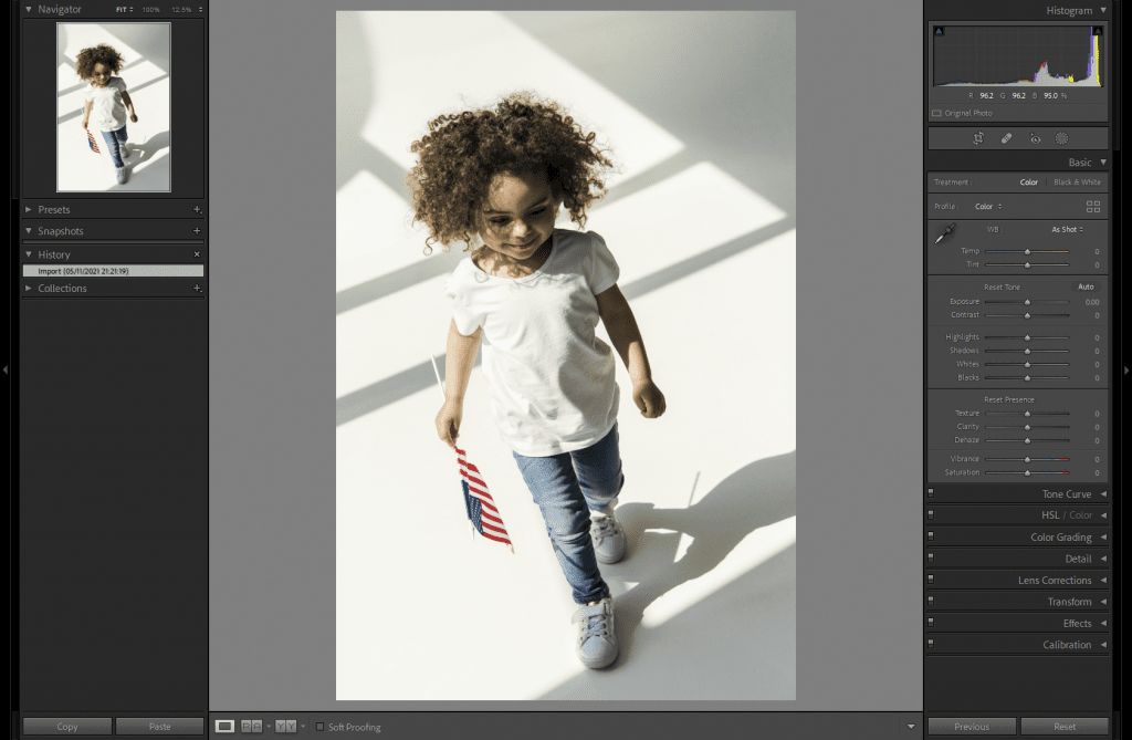 How To Remove Shadows in Lightroom - Original Photo