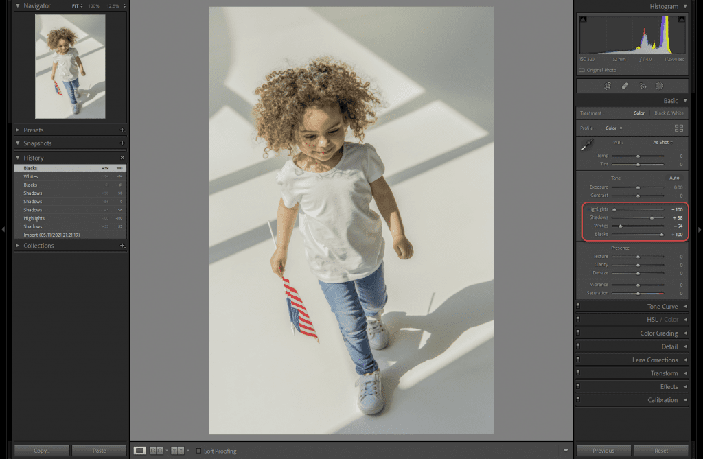 How To Remove Shadows in Lightroom - Start with global adjustments