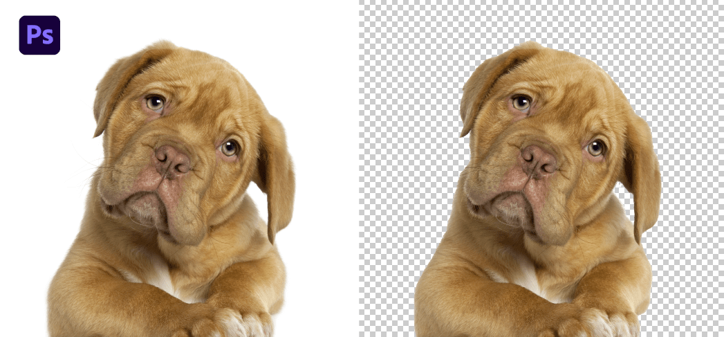 How To Remove ANY White Background In Photoshop