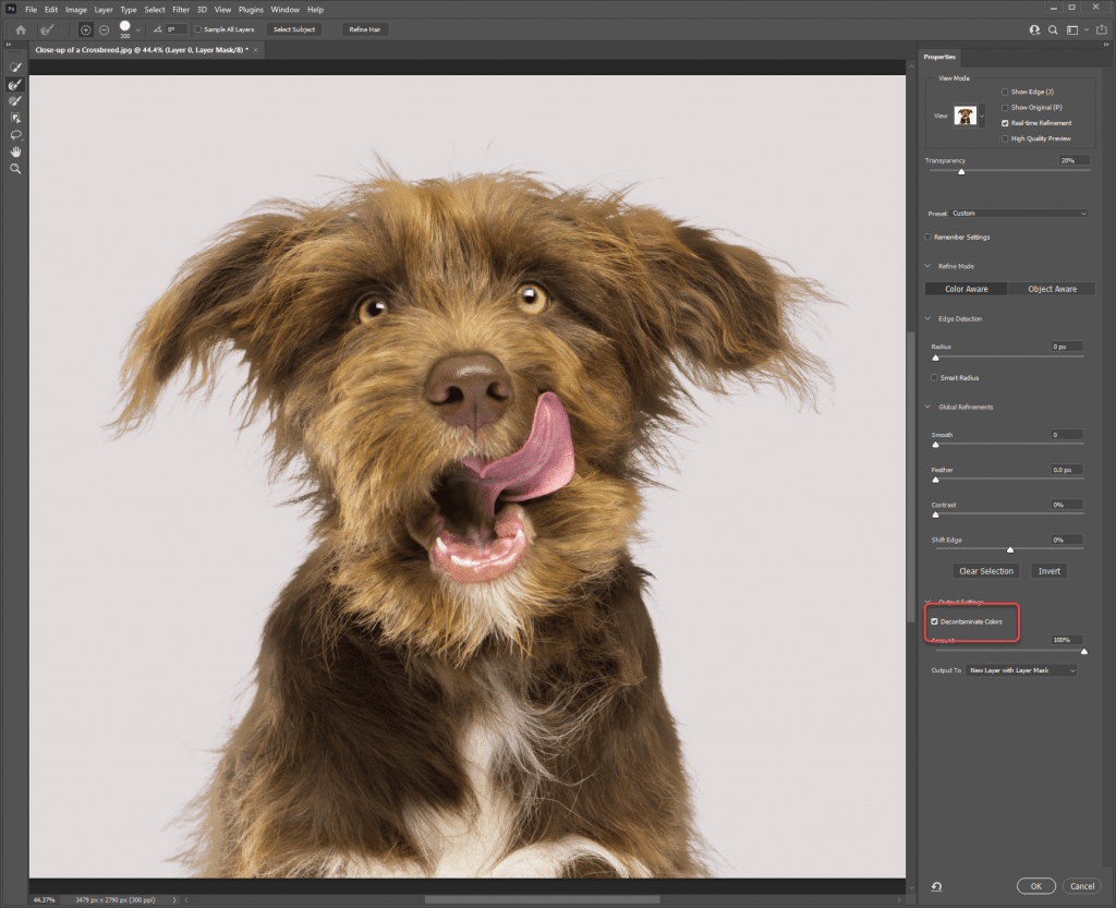 For the final touch, make sure to check the Decontaminate Colors to let Photoshop refine even more.