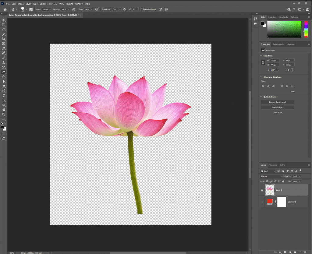 Remove A White Background With The Background Eraser Tool