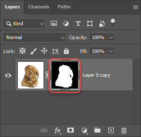 a layer mask has been created around your subject