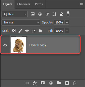 select your image layer