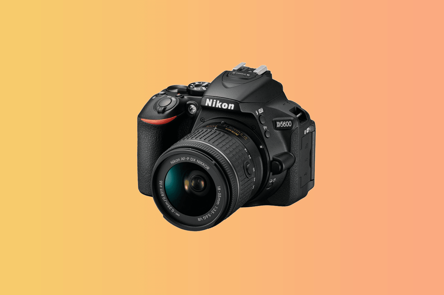 Does Nikon D5600 have Flash?