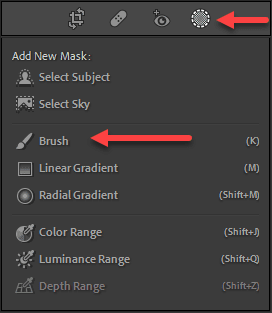 Select the brush icon