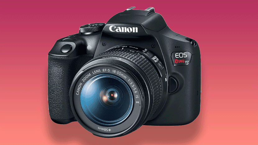 The 8 Best Lenses For Canon Rebel T7