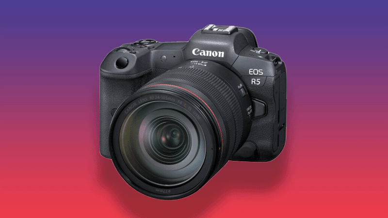 Best RF Lenses For Canon EOS R5