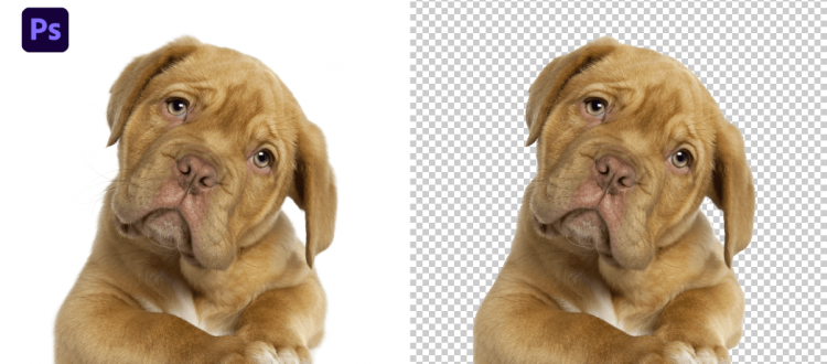 How To Remove ANY White Background In Photoshop
