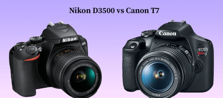 Nikon D3500 vs Canon T7